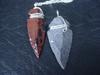 arrowhead pendants wrapped in silver wire